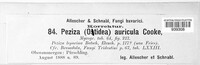 Wynnella auricula image
